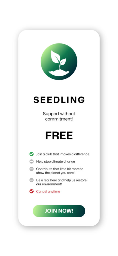 Seedling